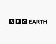 bbc